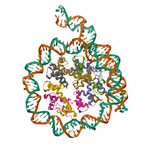 RCSB PDB - 9GEL: CryoEM structure of the human INO80-Hexasome complex