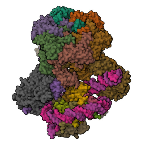 RCSB PDB - 9GEV: CryoEM structure of the human INO80 core-nucleosome ...