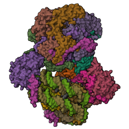 RCSB PDB - 9GFB: CryoEM structure of the human INO80 core-nucleosome ...