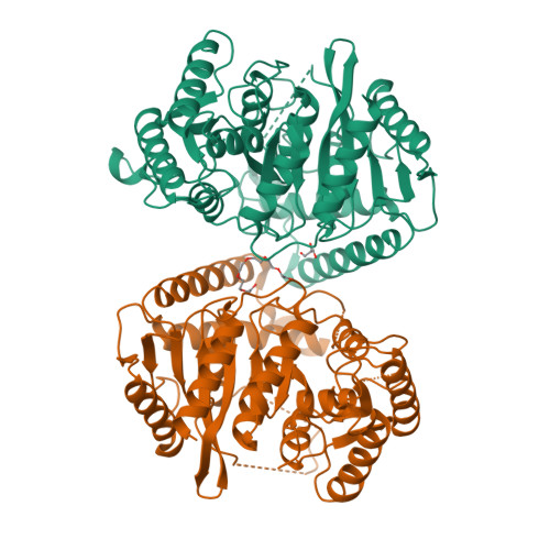 RCSB PDB - 9GIZ: UMG-SP-1, a promiscuous hydrolase