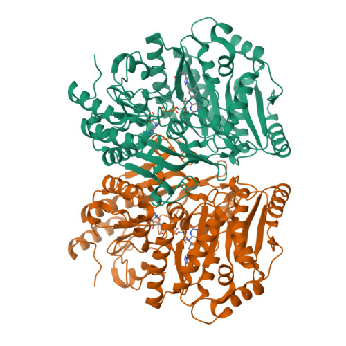 RCSB PDB - 9GJ0: Eugenol Oxidase (EUGO) from Rhodococcus jostii RHA1 ...