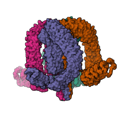 RCSB PDB - 9GOA: Pore state of alpha-Latrotoxin