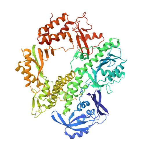 Rcsb Pdb Gp Crystal Structure Of Tgot Pglvvwa Xna Polymerase Apo