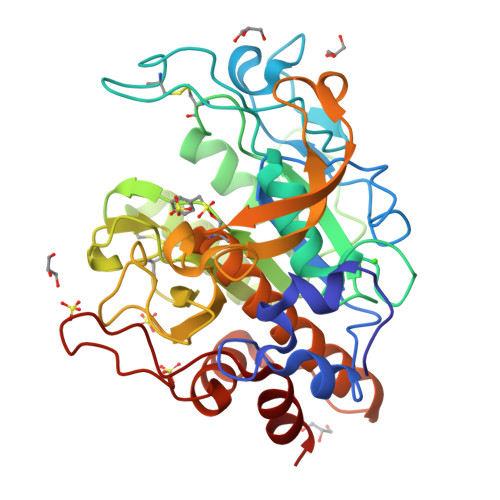 RCSB PDB - 9GRG: StmPr1, Stenotrophomonas maltophilia Protease 1, 36 ...