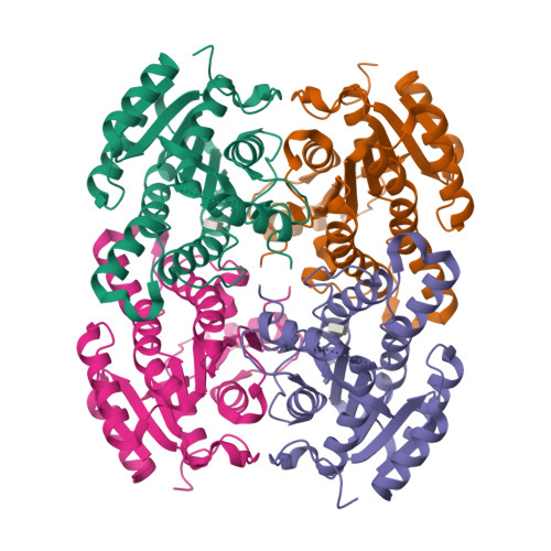 RCSB PDB - 9GWW: Crystal structure of sulfoquinovose-1