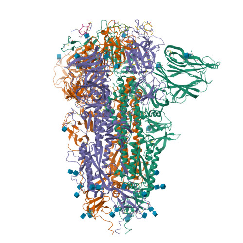 RCSB PDB - 9GXE: Structure of the SARS-CoV spike glycoprotein in ...