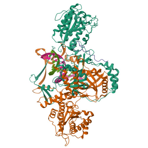 RCSB PDB - 9GYF: Ku70/80 with PAXX peptide mutation K193R