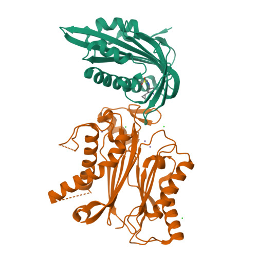 Icb Structure RCSB PDB - 9H0I: X-RAY CRYSTAL STRUCTURE OF THE CsPYL1-iCB-HAB1 TERNARY ...