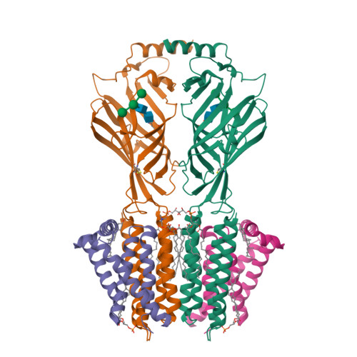 PDB 9H9E