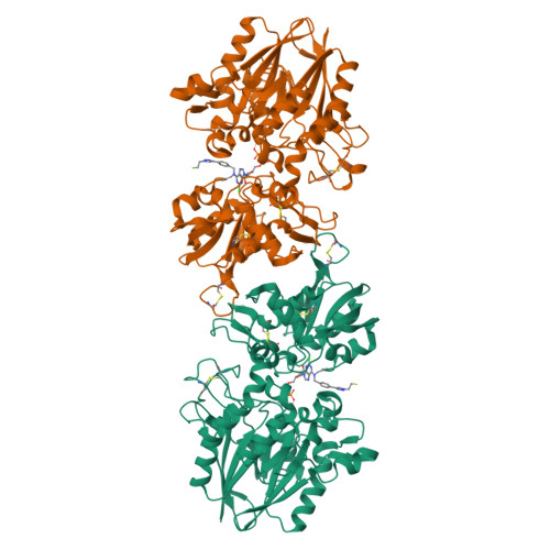 RCSB PDB - 9HD5: Crystal structure of CD73 (ecto-5'-nucleotidase) in ...