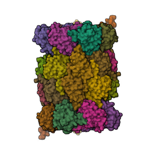 RCSB PDB - 9HMN: CryoEM structure of human 20S proteasome in