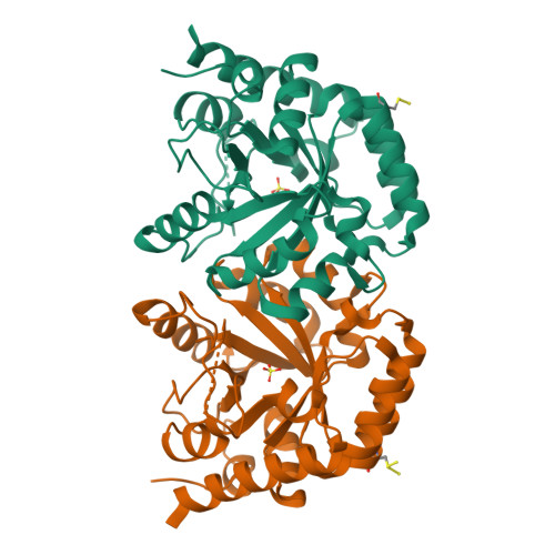 Structure 9HON