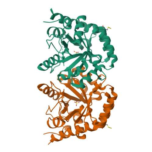 Structure 9HOW