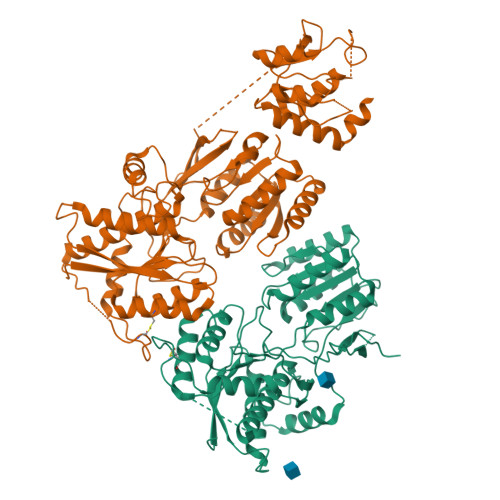 RCSB PDB - 9HPF: The NTD dimer and the interfacing LBD region of the ...