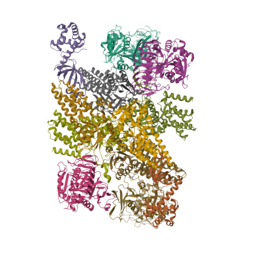 RCSB PDB - 9HVD: Native human P-eIF2-eIF2B complex