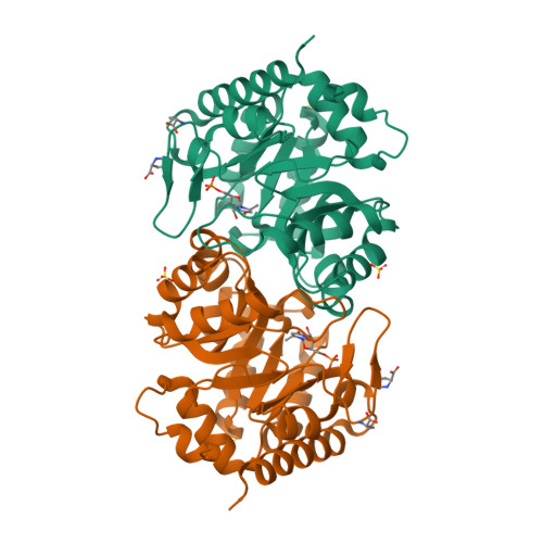 Structure 9HVV
