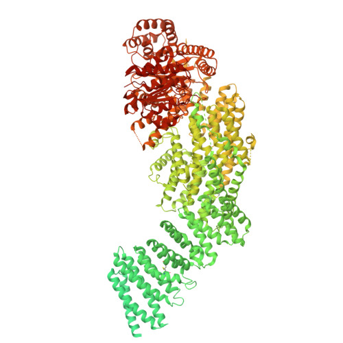 RCSB PDB - 9HVY: Cryo-EM structure of human separase-SCC1 (1-631 ...
