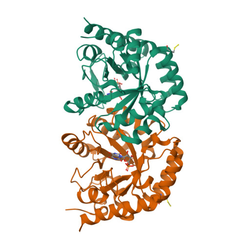 Structure 9HW8