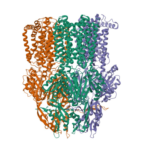 RCSB PDB - 9HWL: Structure of the co-purified multidrug transporter ...