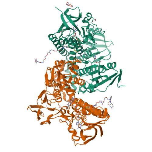 Structure 9HYL