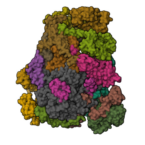 RCSB PDB - 9HYU: Cryo-EM structure of the Chromera velia PSI ...
