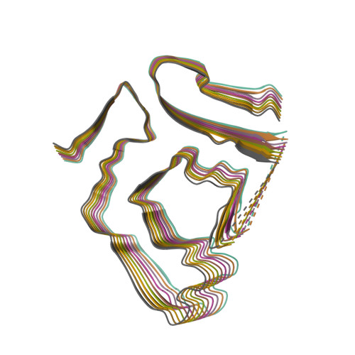 RCSB PDB - 9HYW: Cryo-EM structure of ATTRv-F64S amyloid fibril from ...