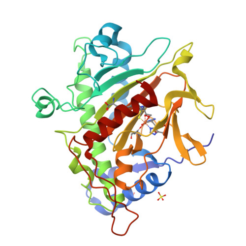 Structure 9I3A