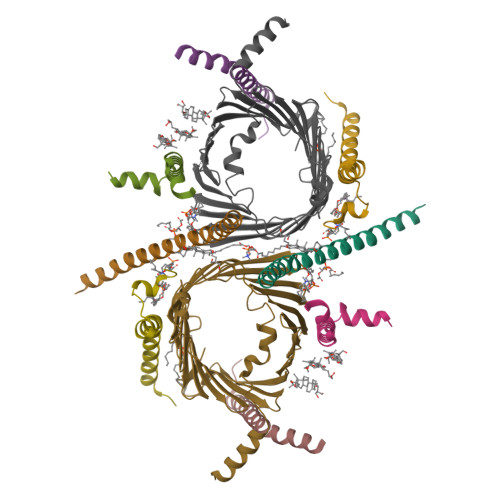 RCSB PDB - 9I6B: CryoEM structure of the Chaetomium thermophilum TOM ...