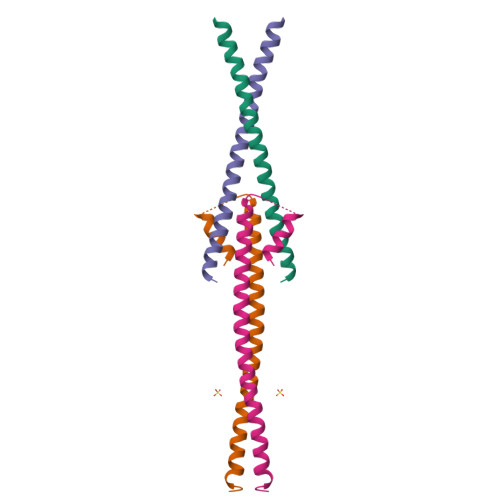 Structure 9I7Q
