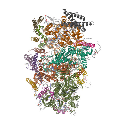 Structure 9I82