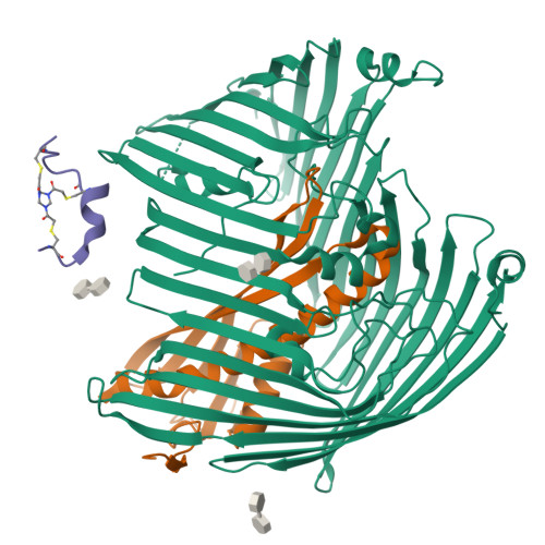 RCSB PDB - 9I98: Cryo-EM structure of Shigella flexneri LptDE