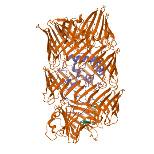 Structure 9I9Y
