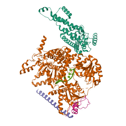 Structure 9IBC