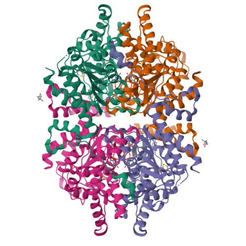 RCSB PDB - 9IDH: Human Deoxyhypusine Synthase Fragment Screening ...