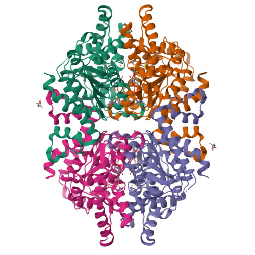RCSB PDB - 9IEA: Human Deoxyhypusine Synthase Fragment Screening ...