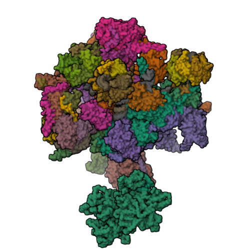 Structure 9IF8