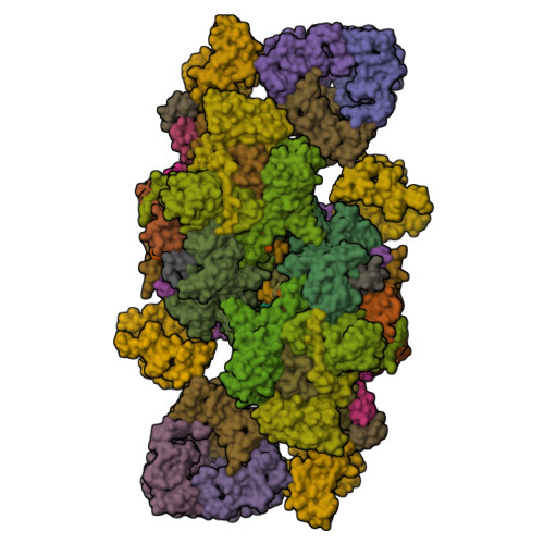 RCSB PDB - 9IFM: STRUCTURE OF UNSTACKED C2S2-TYPE PSII-LHCII ...