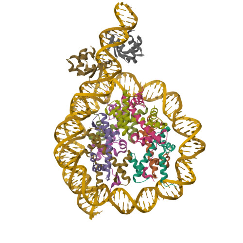 RCSB PDB - 9IGJ: structure of two human ELF2 transcription factors in ...