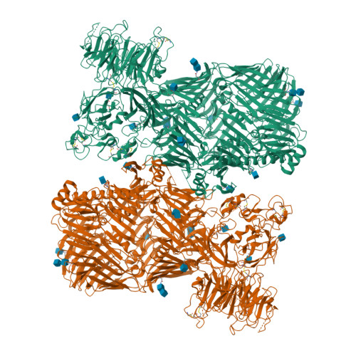 Structure 9IGS