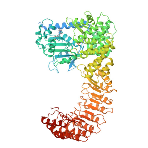 Structure 9IHN