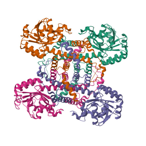 RCSB PDB - 9IJB: Crystal structure and function analysis of a highly ...