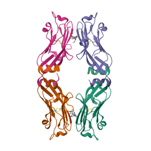 RCSB PDB - 9IJT: Crystal Structure of human Programmed cell death 1 ...