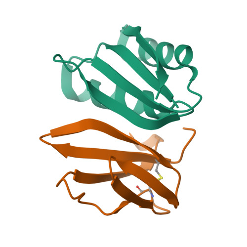 RCSB PDB - 9IP6: The complex of rice immune receptor RGA5-HMA8 with ...
