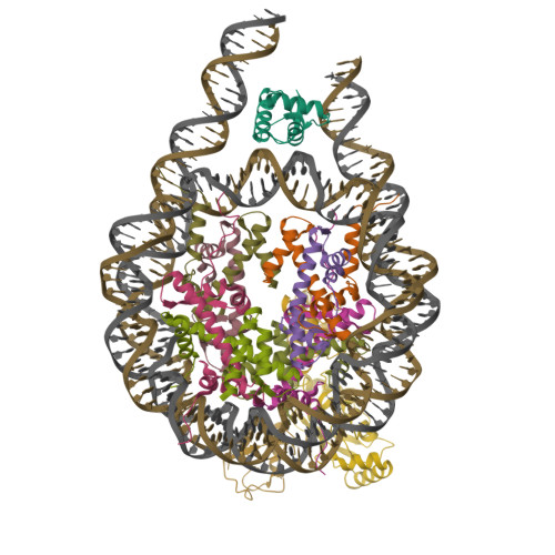 RCSB PDB - 9IPU: cryo-EM structure of the RNF168(1-193)/UbcH5c-Ub