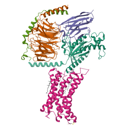 PDB 9ITB