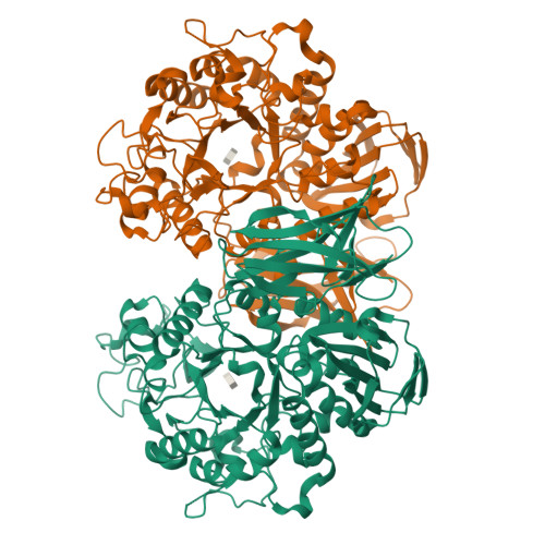 RCSB PDB - 9IZO: Apg mutant enzyme D336A of acarbose hydrolase from ...