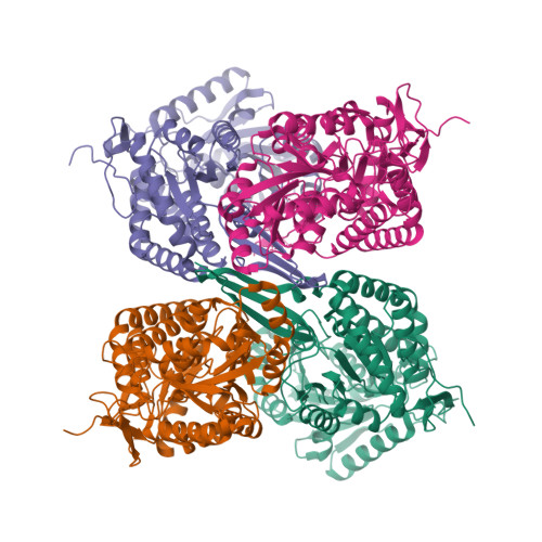 RCSB PDB - 9IZX: Cryo-EM structure of ALDH6A1-G446R