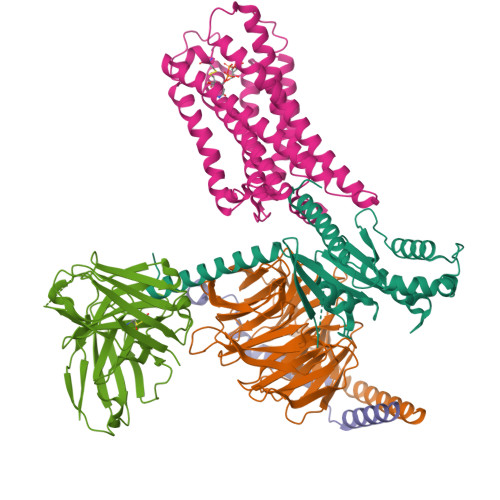 【在庫僅少】 - PDB RCSB 9J0I: purinergic bound acid UDP-Glucuronic ワンピース カードゲーム