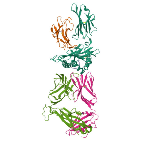 RCSB PDB - 9J4T: Structural basis for recognition of SARS-CoV-2 ...