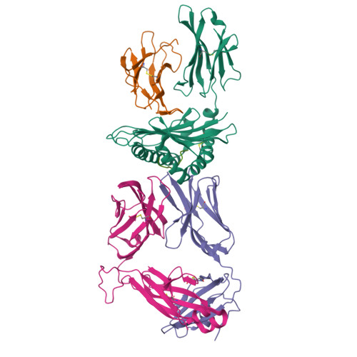 RCSB PDB - 9J4U: Structural basis for recognition of SARS-CoV-2 ...